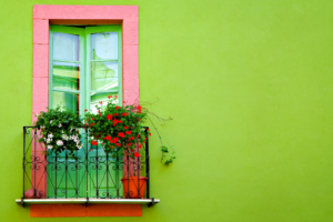 Green Wall Window3804612204